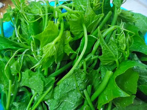 Cách rửa rau để loại bỏ chất gây ung thư